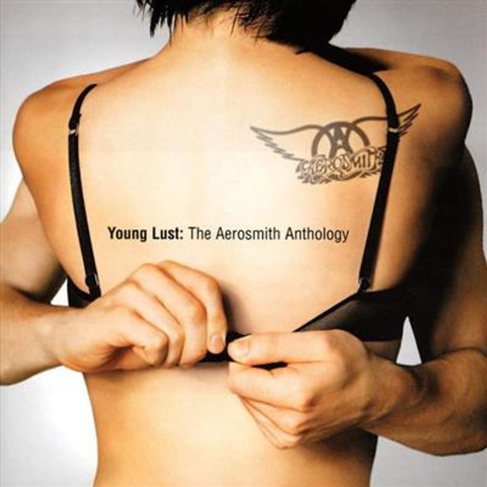 Aerosmith - Young Lust - Aerosmith Anthology (2CD)