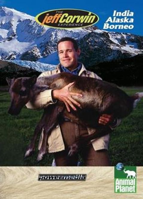 Hovedbilde The Jeff Corwin Experience - India / Alaska / Borneo (DVD)