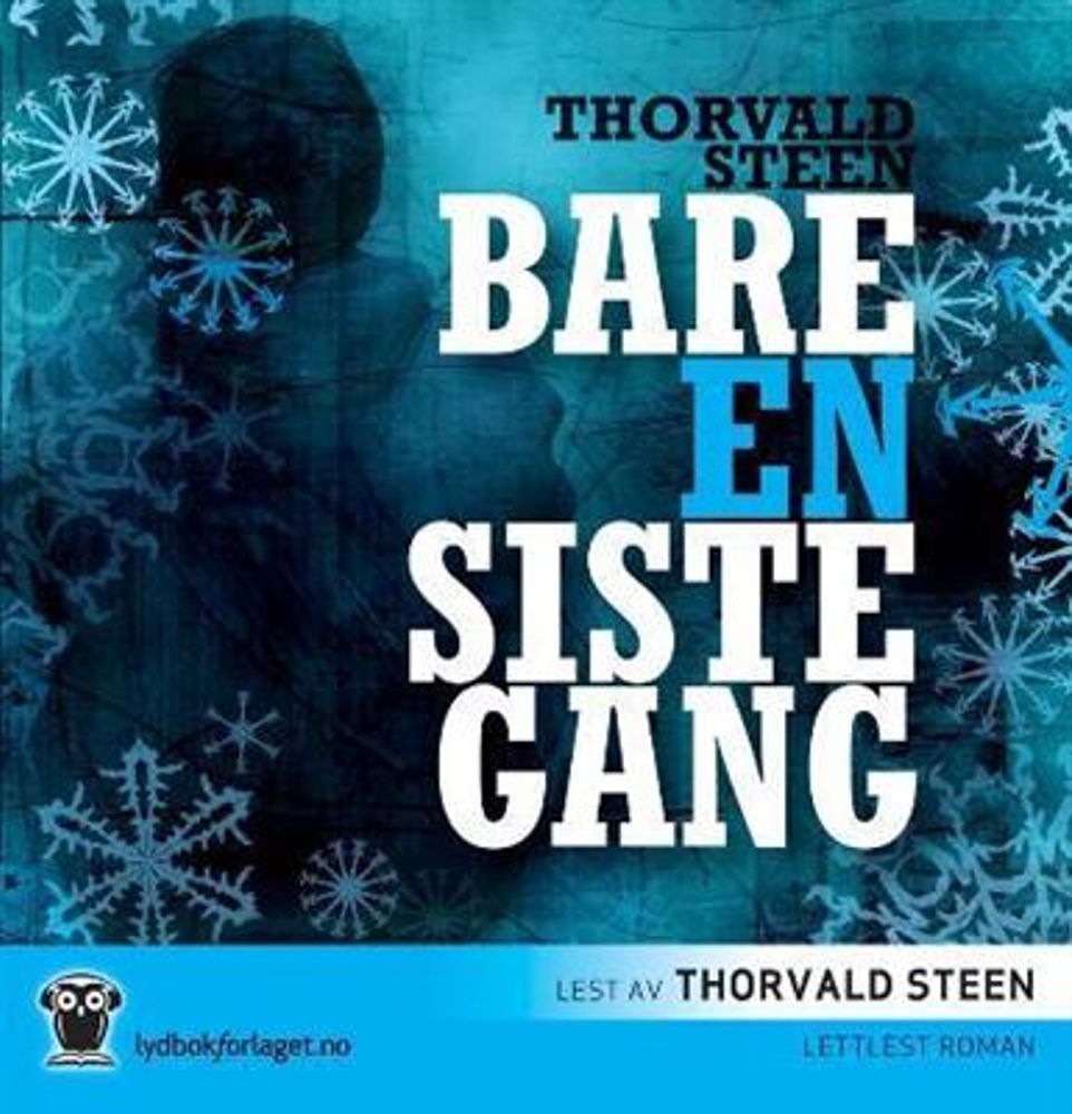 Bare En Siste Gang (Thorvald Steen) (Lydbok-CD)