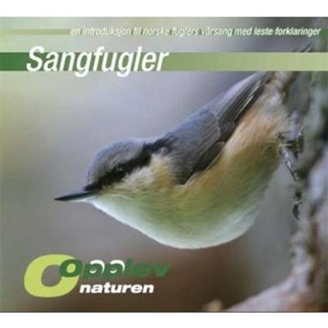 Hovedbilde Opplev Naturen - Sangfugler - 95 Fuglers Våsang (CD-Lydbok ...