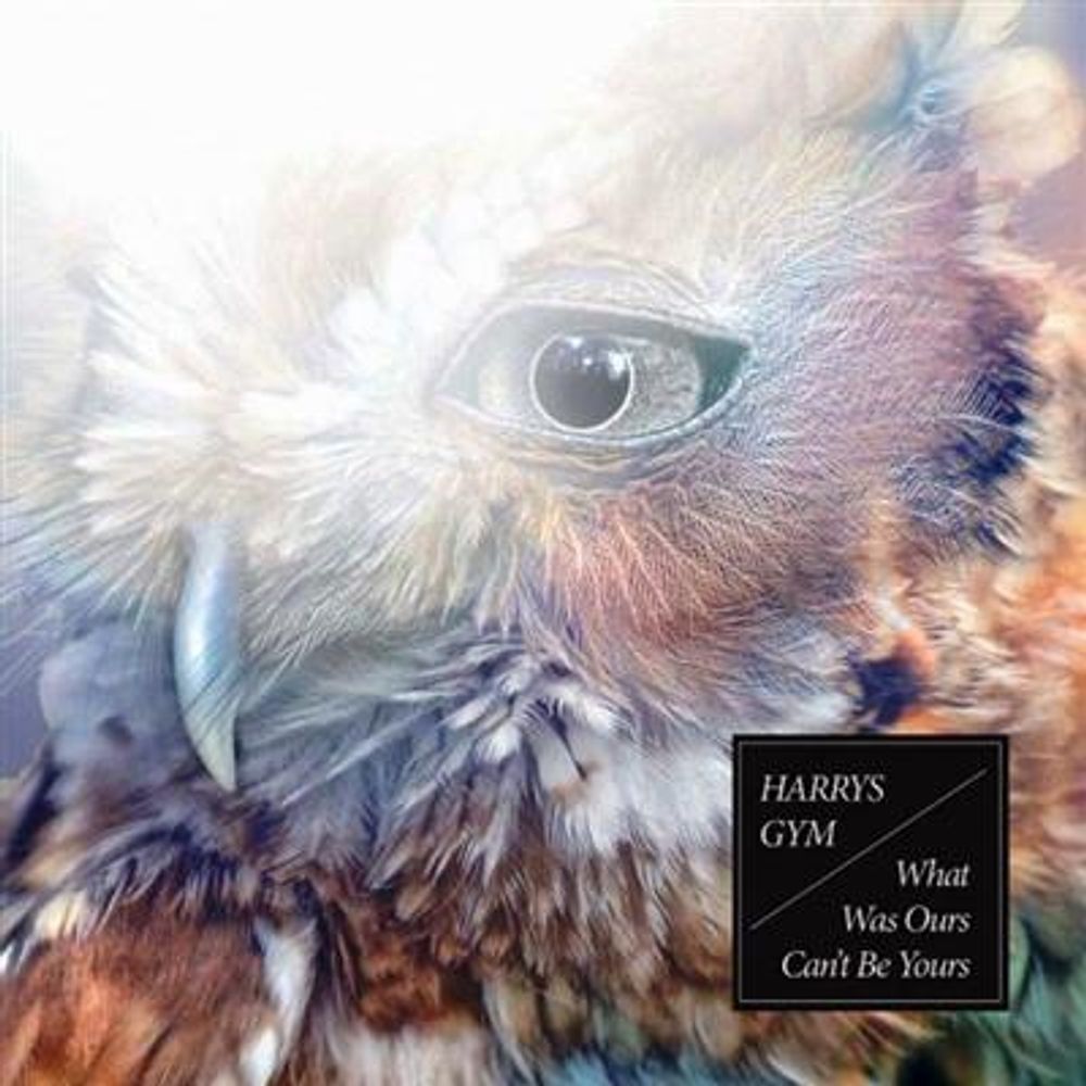 Harrys Gym - What Was Ours Can`t Be Yours (CD)
