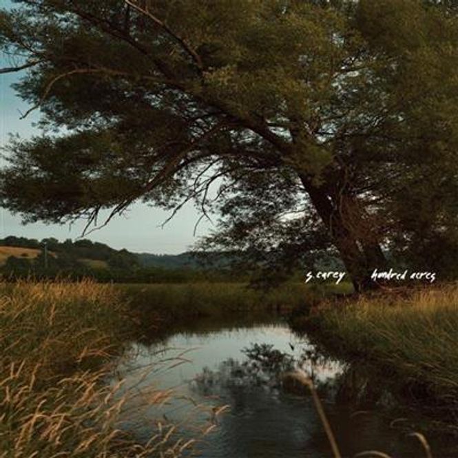 Hovedbilde S. Carey - Hundred Acres (Vinyl)