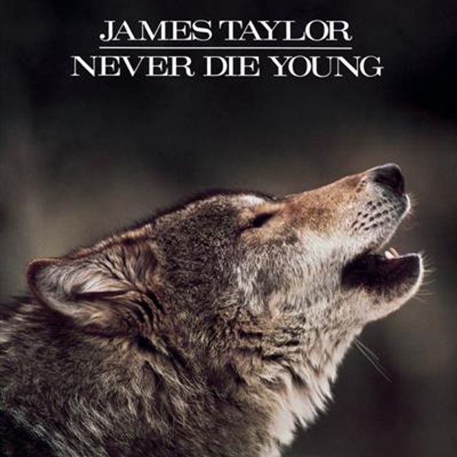 Hovedbilde James Taylor - Never Die Young (CD)