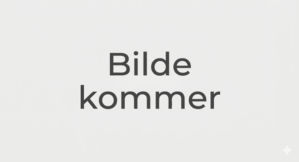 Hovedbilde Fjernkontroll NR513DAB