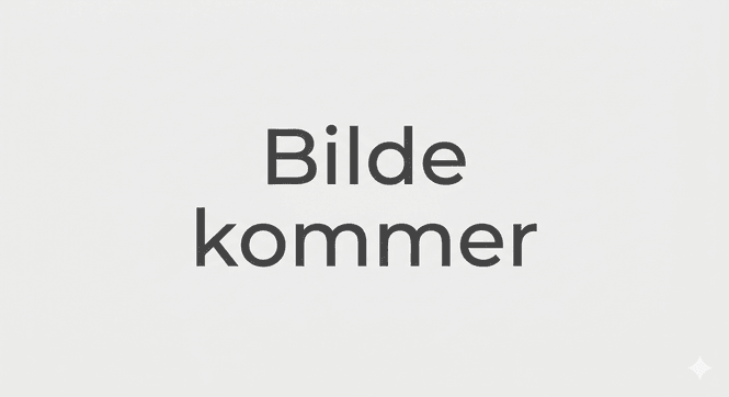Hovedbilde Fjernkontroll NR513DAB