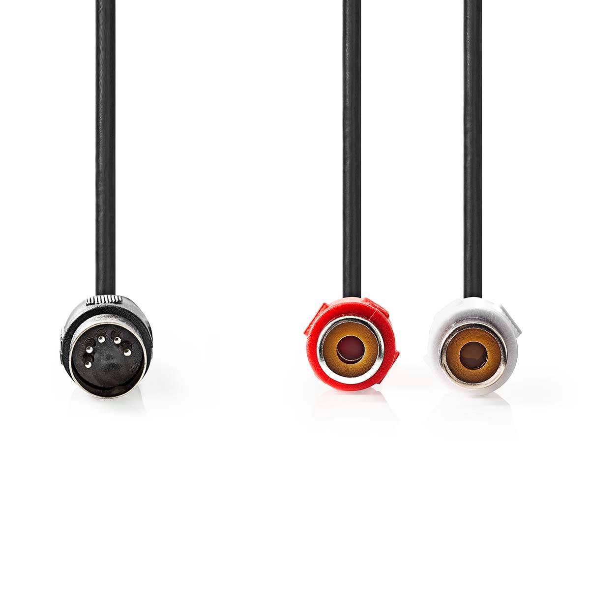 5-pin DIN Plugg Til 2 x RCA Plugg 0,2 Meter